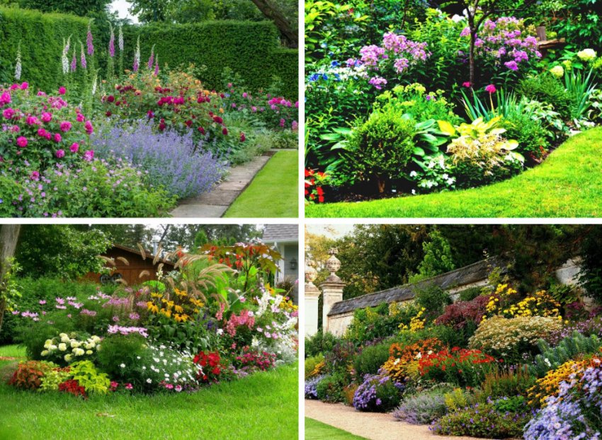 Багаторічні квіти в пейзажному стилі