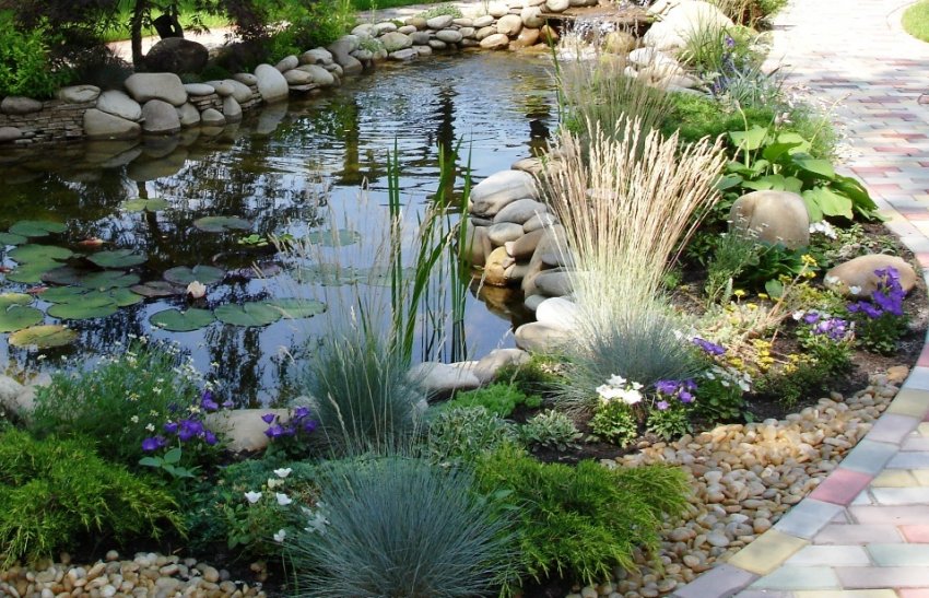 Водоймище в ландшафті Водоймище в ландшафті