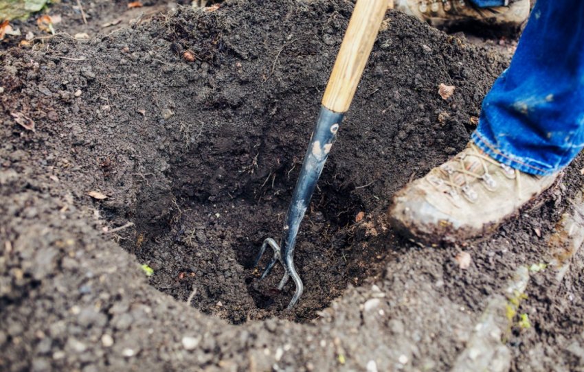 Місце для висадки