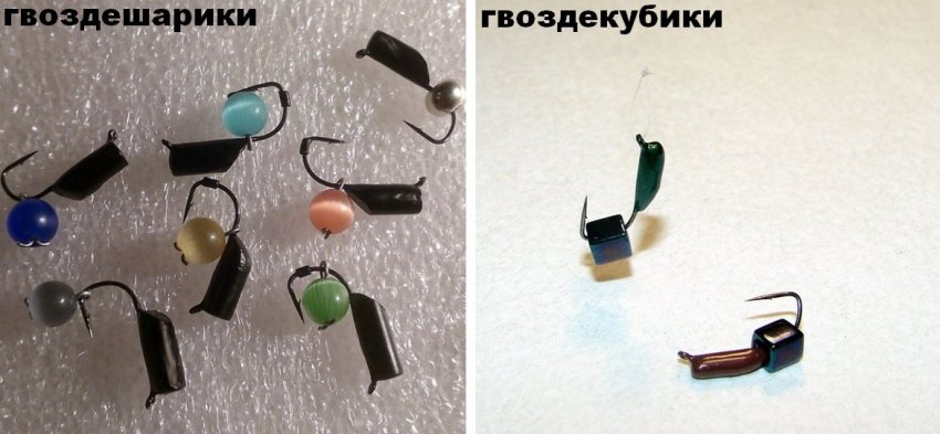 Блешні безмотилки Блешні безмотилки