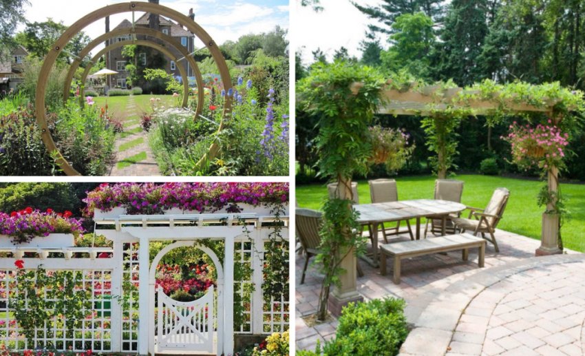 Арка, трельяж та пергола в ландшафті Арка, трельяж та пергола в ландшафті