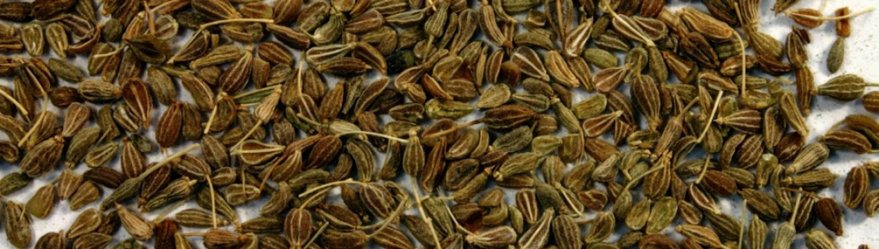 Особливості використання анісу від кашлю