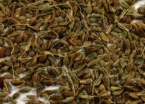 Особенности использования аниса от кашля