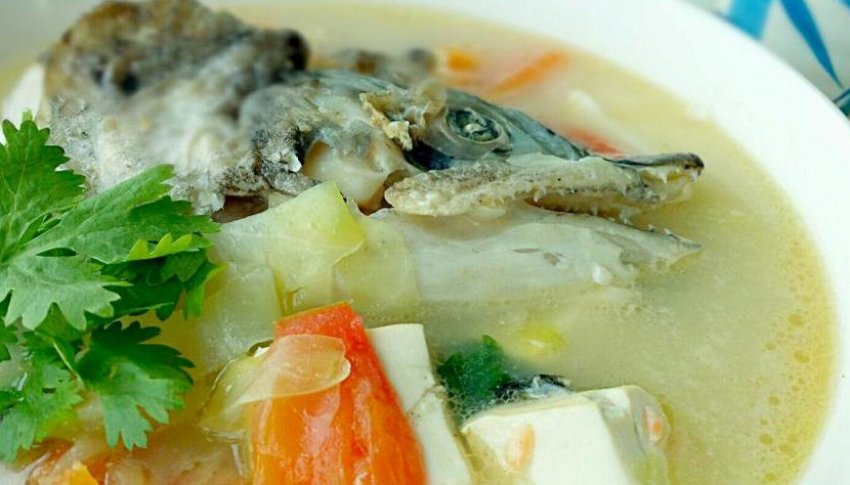 Вуха з голови та хвоста Вуха з голови та хвоста