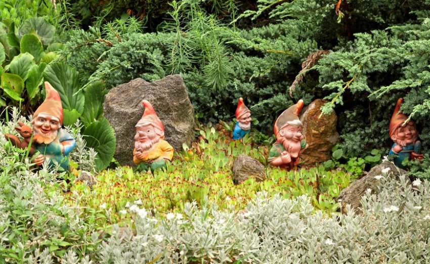 Фігурки гномів у саду Фігурки гномів у саду