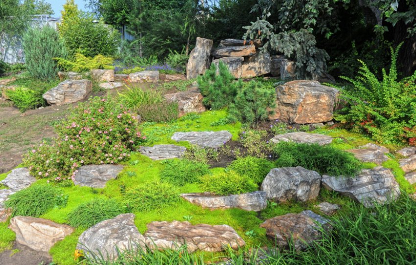 Рокарій Рокарій