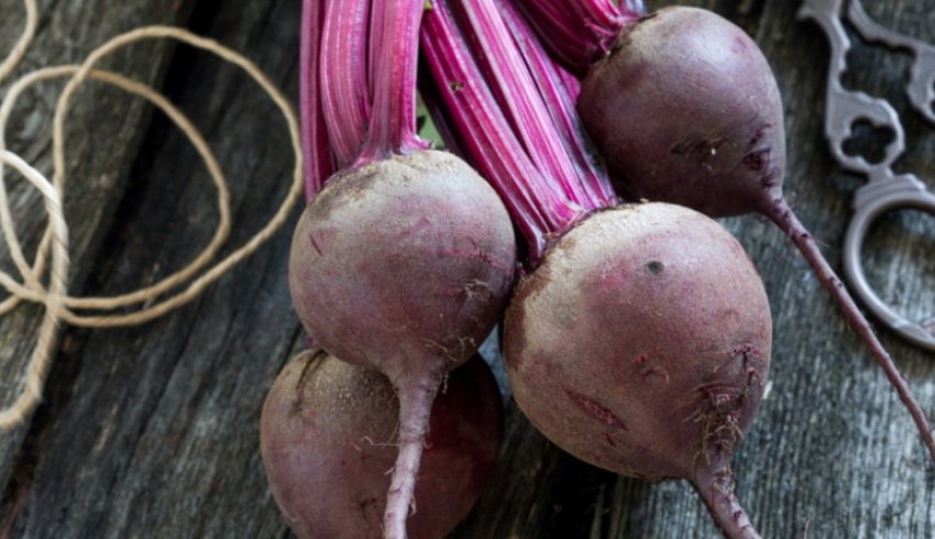 Буряк Бон-Бон F1