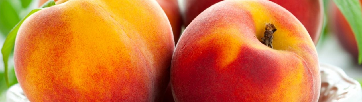 У Іспанії планують викинути 10 тисяч гектарів фруктових садів