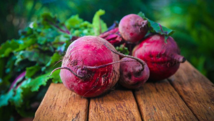 Буряк Бариня