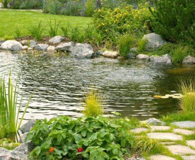 Як створити природній ставок на ділянці