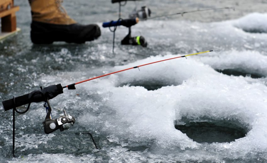 Фідерна зимова риболовля Фідерна зимова риболовля
