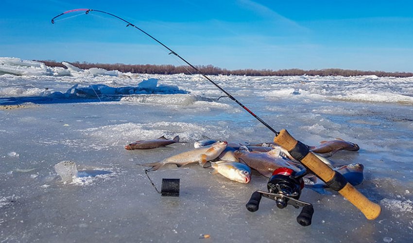 Зимової ловля на стоячій воді Зимової ловля на стоячій воді