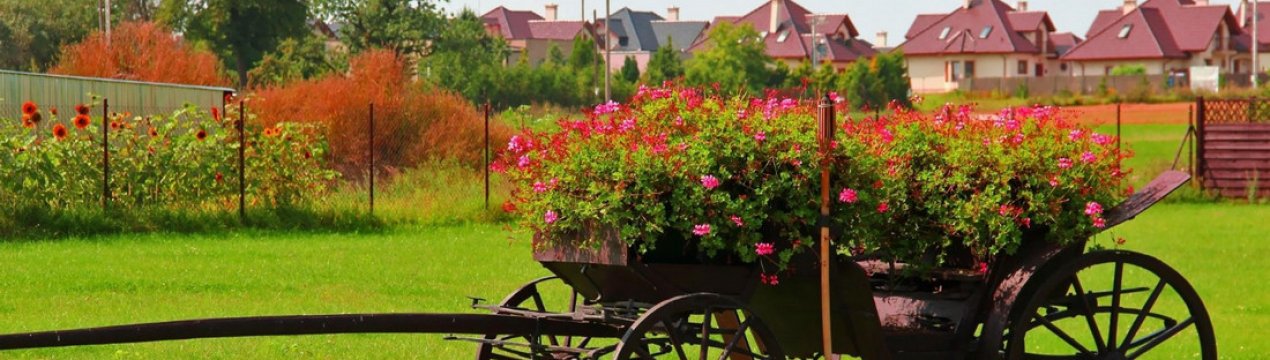 Декоративні телеги та їх застосування в ландшафтному дизайні