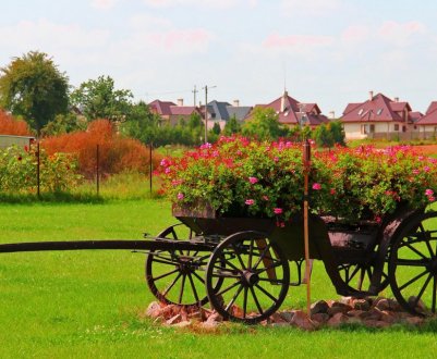 Декоративні телеги та їх застосування в ландшафтному дизайні