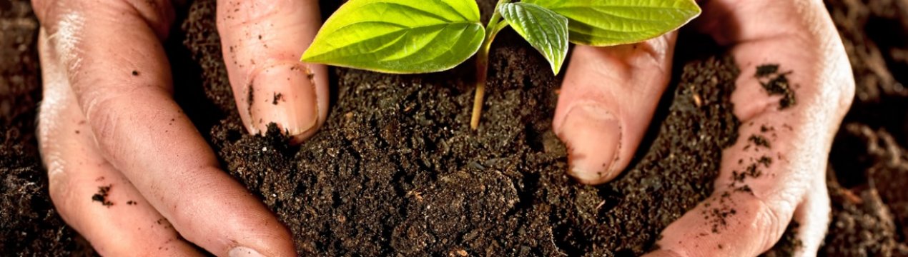 Львівські аграрії відновлюють родючість ґрунтів