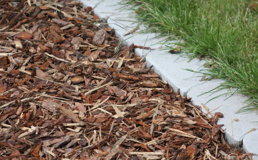Мульчування доріжок листяними породами
