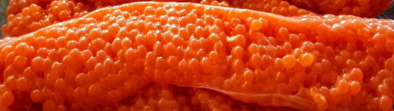 как снять с икры горбуши пленку чтобы засолить. Смотреть фото как снять с икры горбуши пленку чтобы засолить. Смотреть картинку как снять с икры горбуши пленку чтобы засолить. Картинка про как снять с икры горбуши пленку чтобы засолить. Фото как снять с икры горбуши пленку чтобы засолить