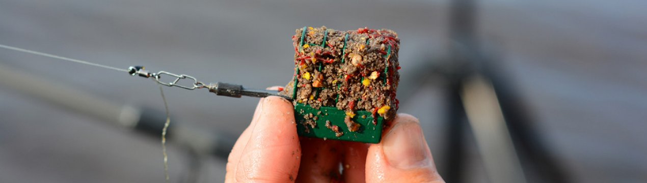 Фідерна риболовля на коропа та сазана