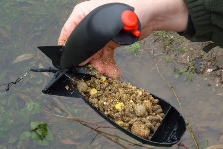 Прикормкарыбы