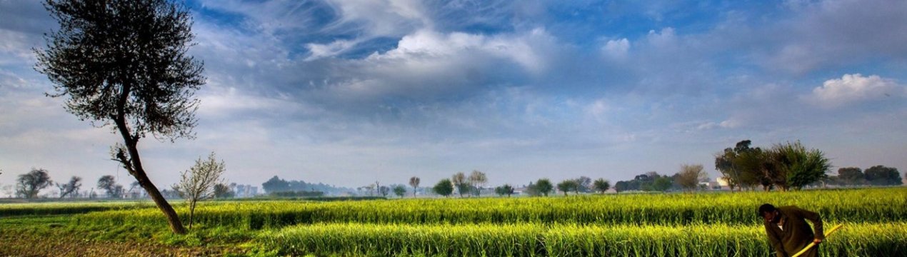 У Великобританії закриваються державні ферми