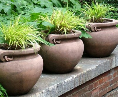 Міні ландшафтний дизайн у горщику