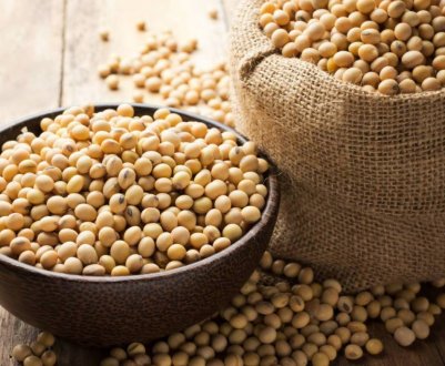 Китайська компанія буде вирощувати сою на землях Далекого Сходу