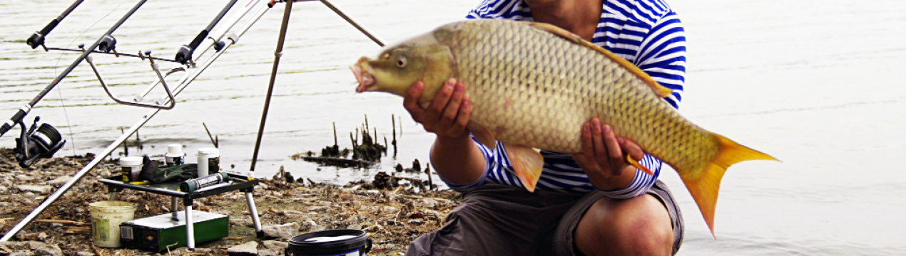 Як ловити сазана на поплавкову вудку
