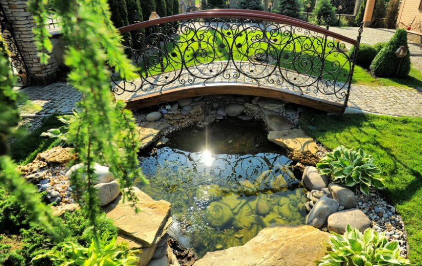 Водойма на південному боці ділянки Водойма на південному боці ділянки