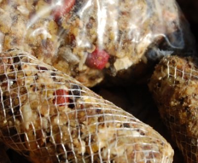 Приготування підгодовування для лову сазана