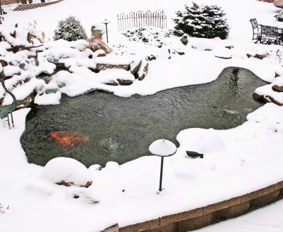 Як підготувати ставок на зиму: чим накрити і як утеплити