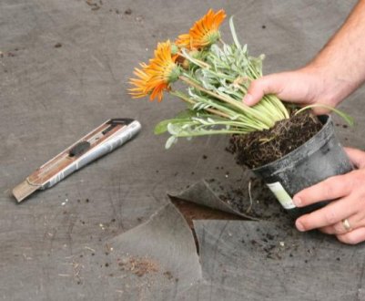 Застосування геотекстилю в ландшафтному дизайні