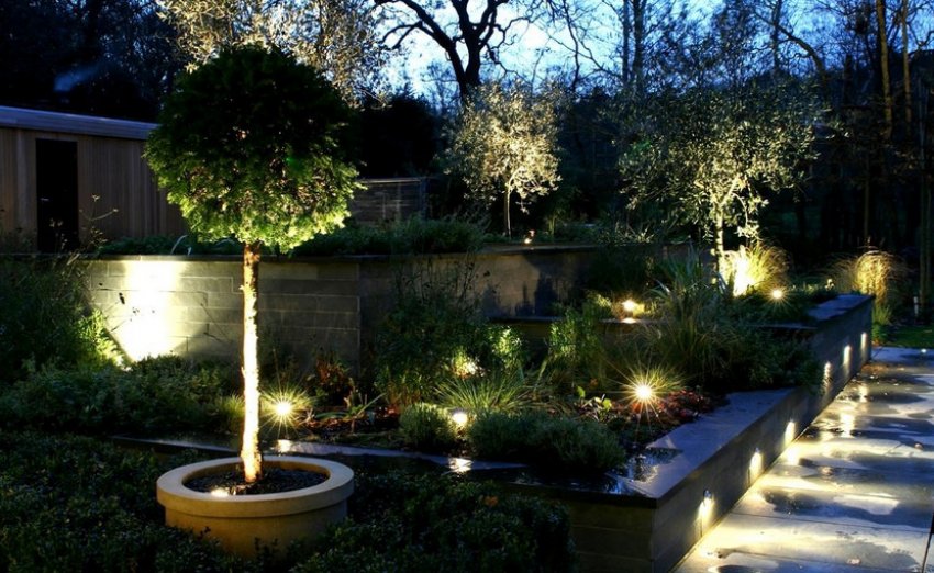 Декоративне освітлення ділянки Декоративне освітлення ділянки