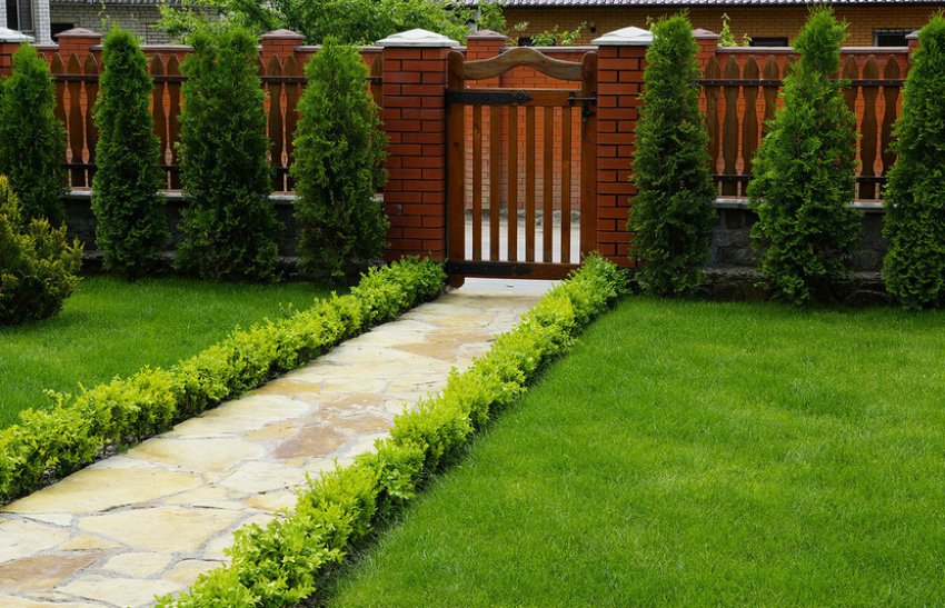 Газон у ландшафтному дизайні Газон у ландшафтному дизайні