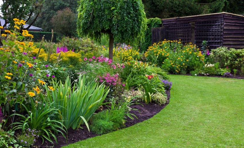 Міксбордер у ландшафтному дизайні Міксбордер у ландшафтному дизайні