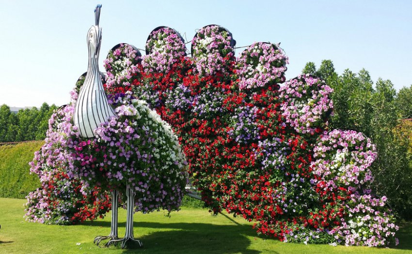 Вертикальна грядка Вертикальна грядка