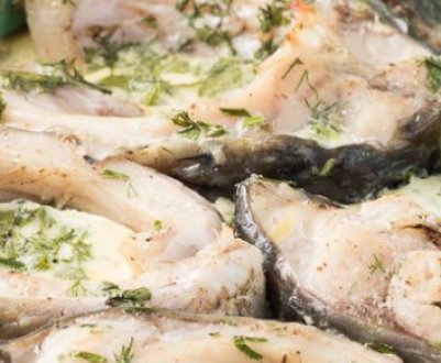 Страви із сазана в домашніх умовах