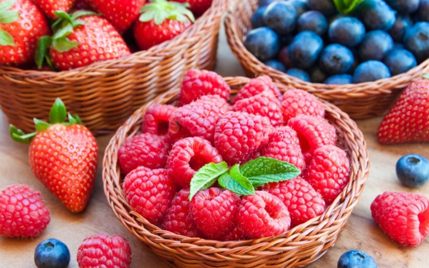 Волинське господарство вирощує органічні ягоди і овочі Волинське господарство вирощує органічні ягоди і овочі