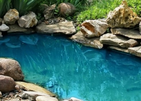 Як правильно доглядати за ставком на дачі