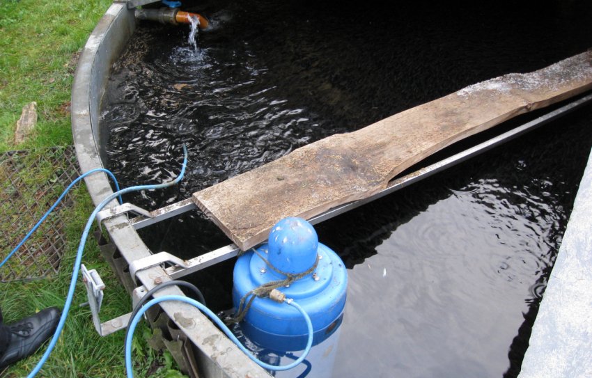 Створення ставка на ділянці