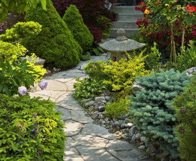 Використання карликових хвойних рослин в ландшафтному дизайні