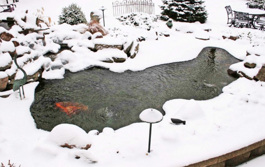 Пруд у саду зимою Пруд у саду зимою