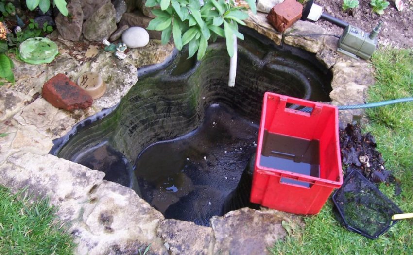 Ставок у саду Ставок у саду