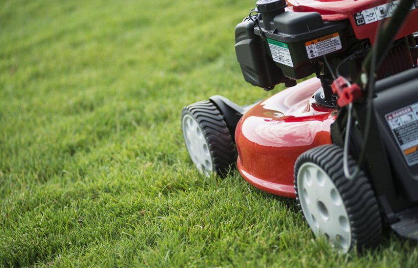 Стрижка газону Стрижка газону