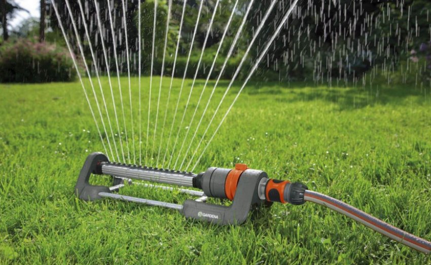 Зрошення газону Зрошення газону