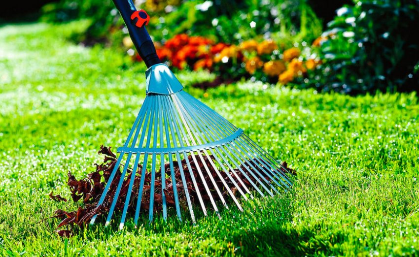 Гребінцеве видалення газону Гребінцеве видалення газону