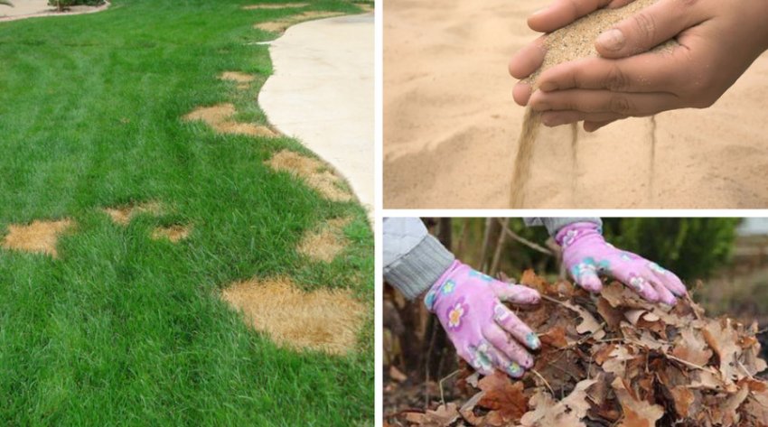 Ремонт газону Ремонт газону