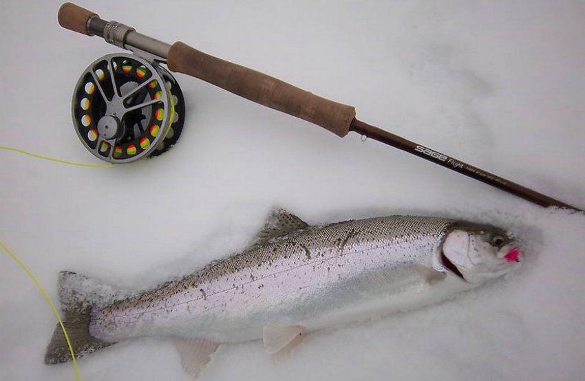 Риболовля на блешню