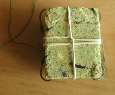 Риболовля сазана на макуху та виготовлення макушатника своїми руками