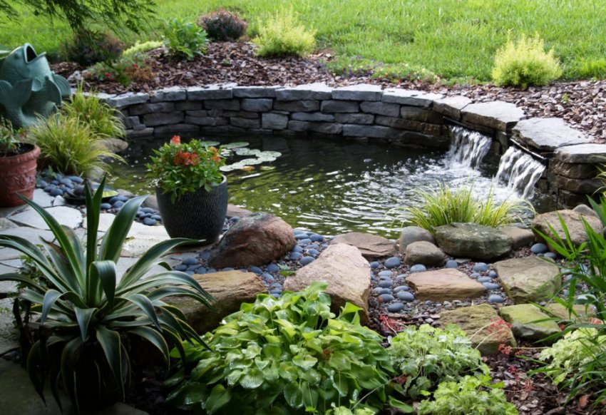 Водоймище в саду