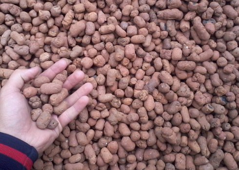 Керамзит в ландшафтном дизайне